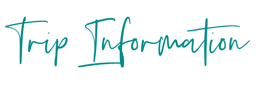 Trip Information
