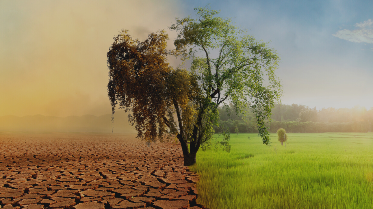 Is running in poor air quality really that bad for our health?