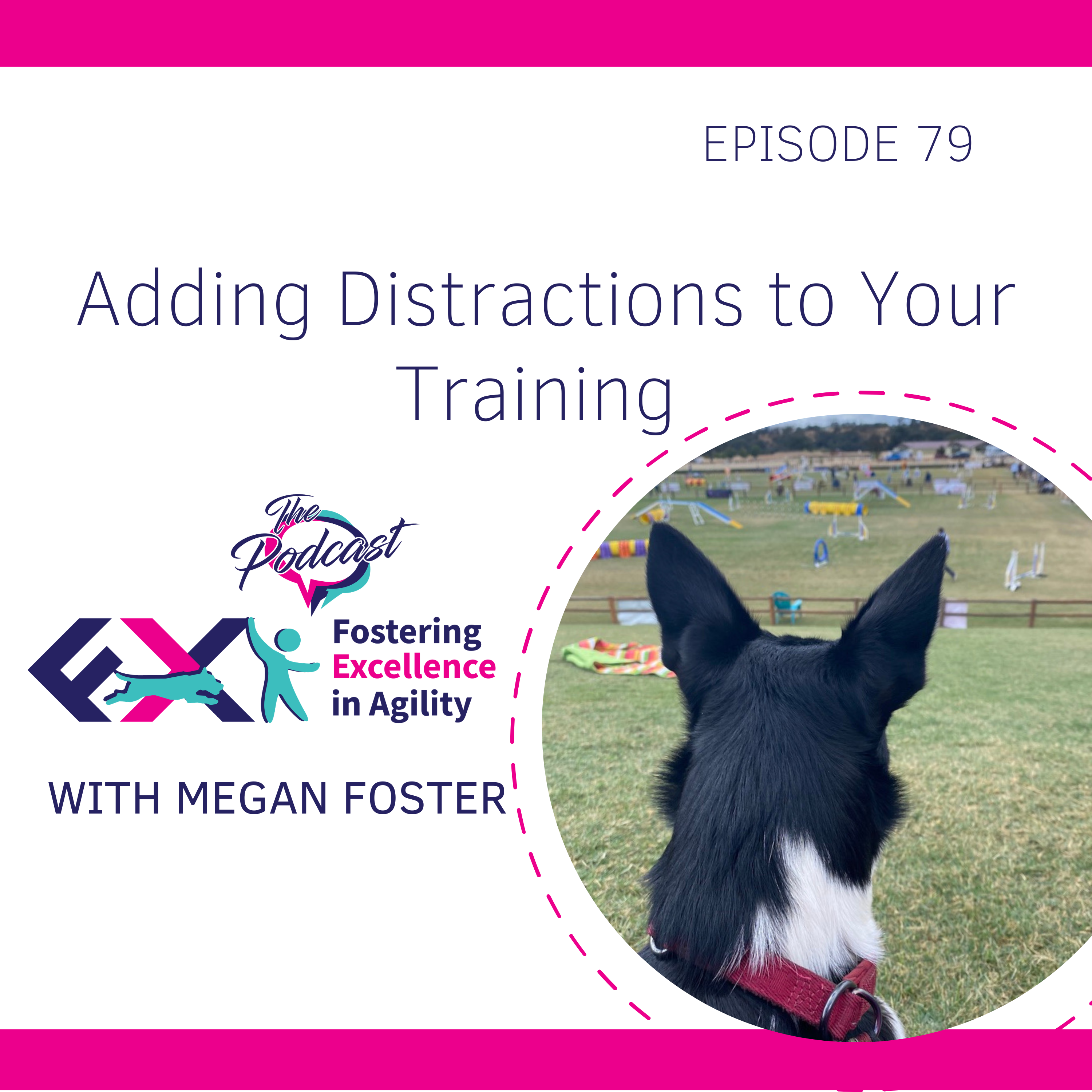 Adding Distractions to Your Training episode artwork