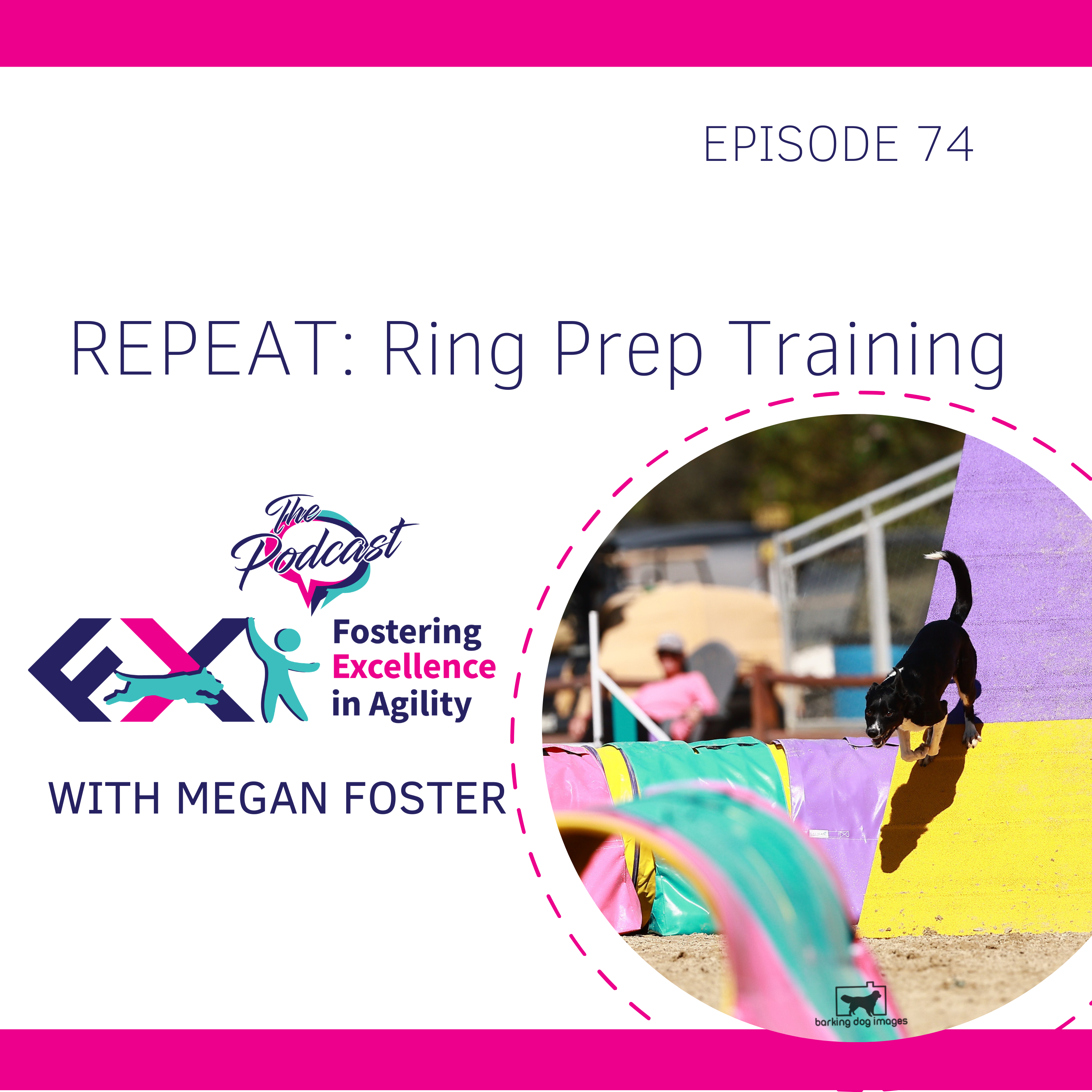 REPEAT: Ring Prep Training episode artwork