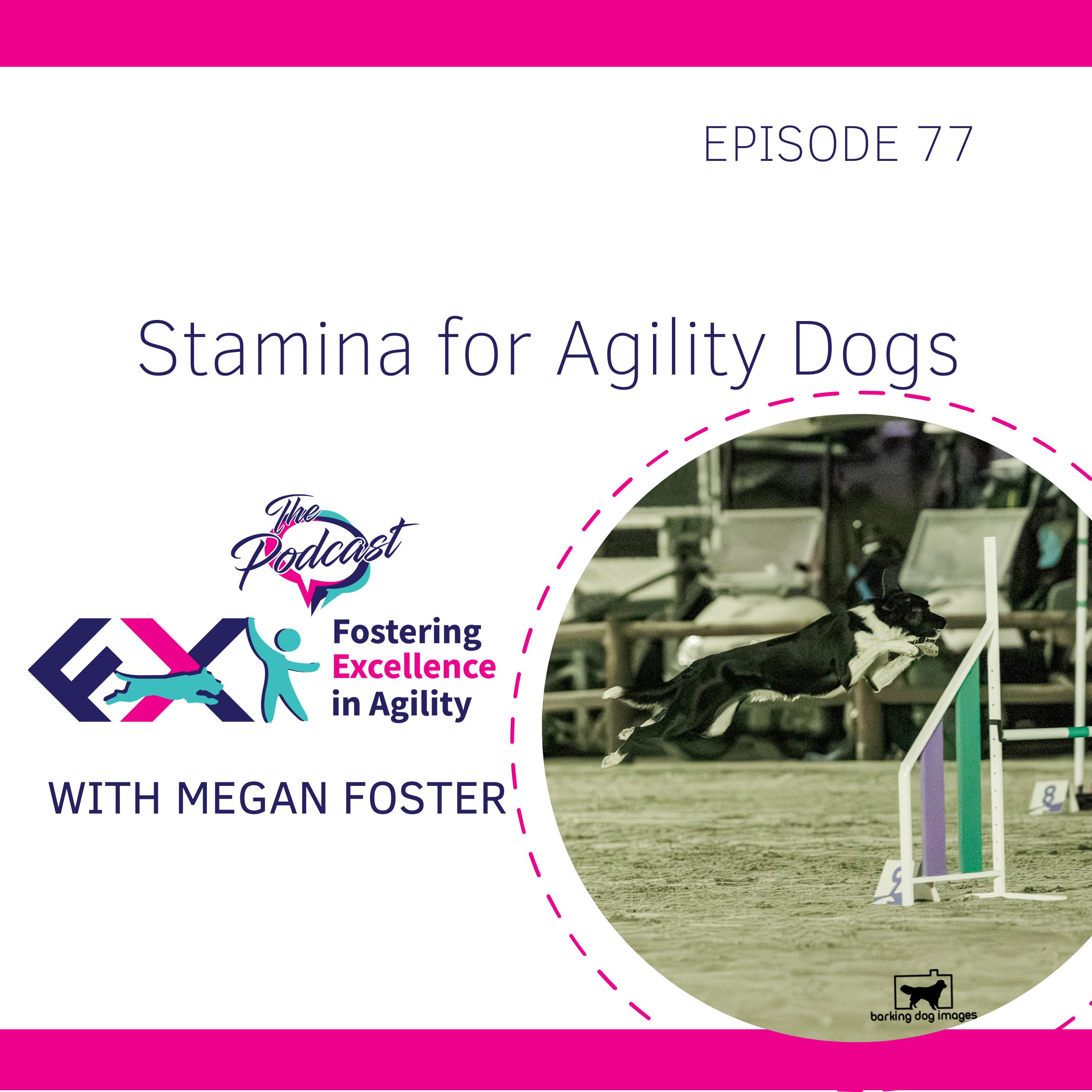 Artwork for Fostering Excellence in Agility