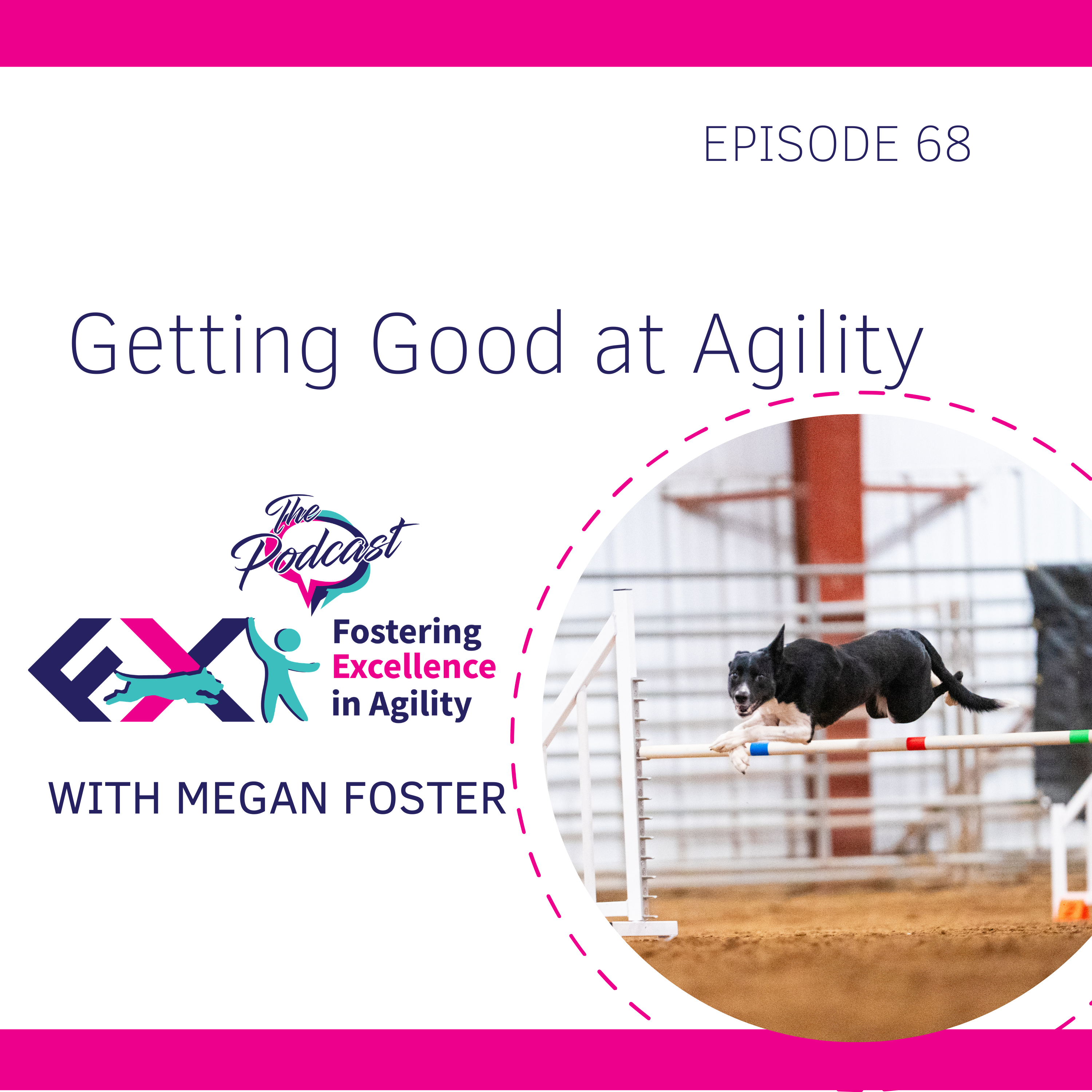 Fostering Excellence in Agility