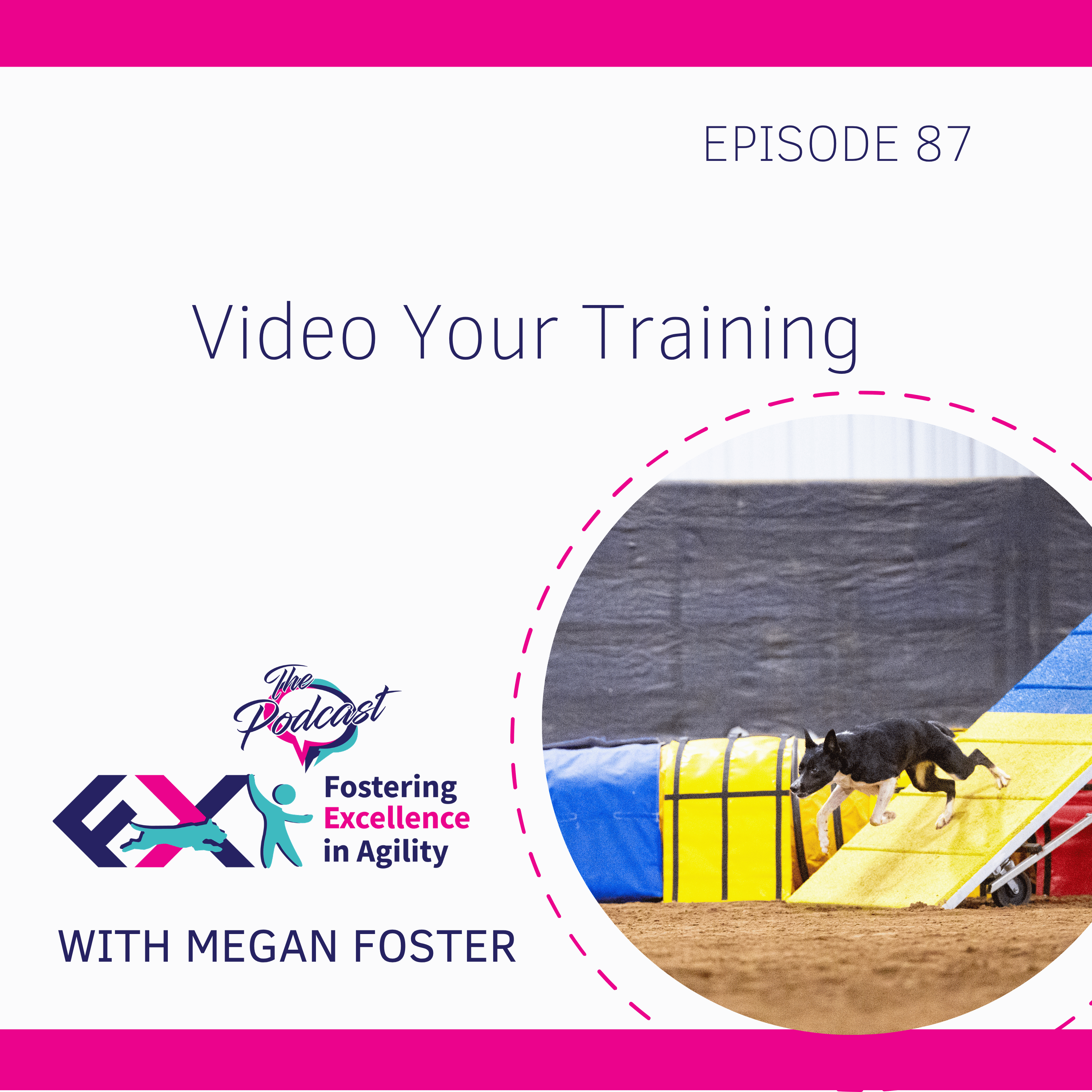 Artwork for Fostering Excellence in Agility