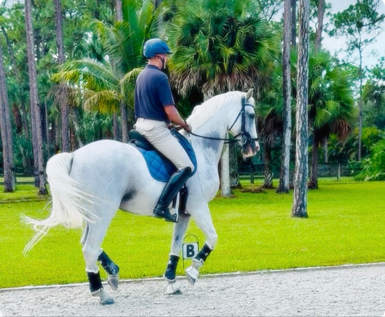 Dave Thind riding a grey Grand Prix horse outdoors in Wellington