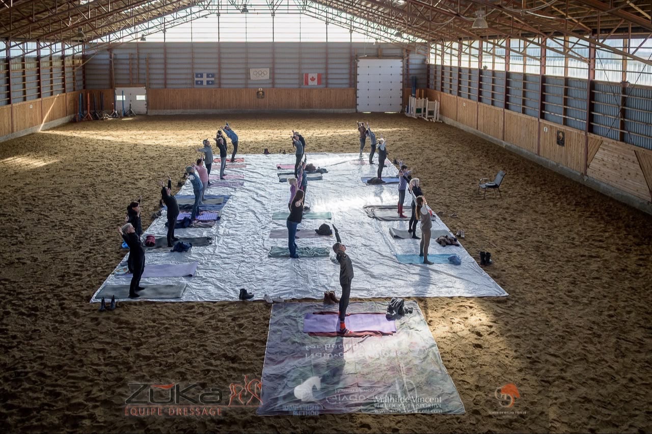 Group Feldenkrais Awareness Through Movement lesson during the Quebec DTM clinic