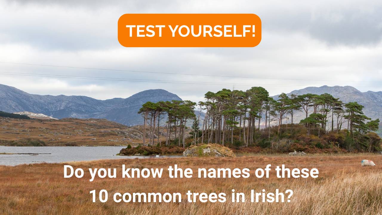 Crainn na hÉireann
