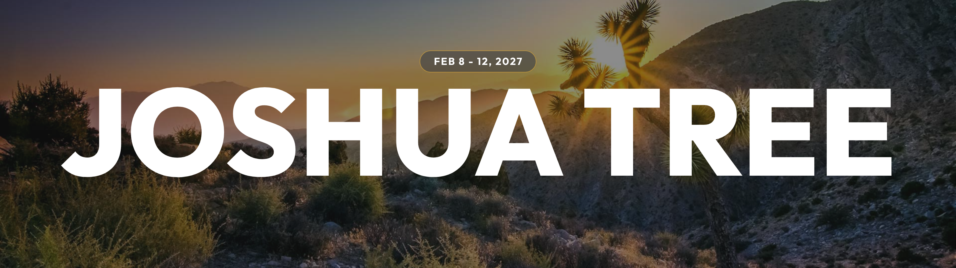 Joshua Tree 2027