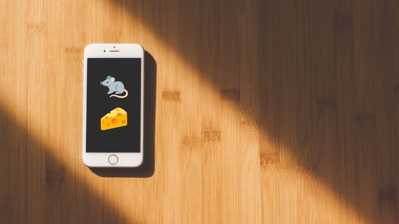 Phone with rat and cheese emojis next to a name, symbolizing a boundary reminder