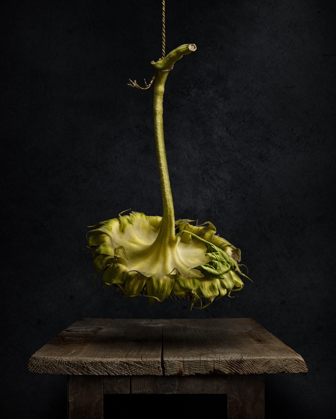 Light Painting Foundation Course By Harold Ross