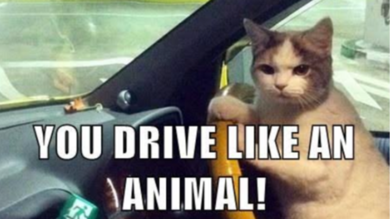 driving reactions