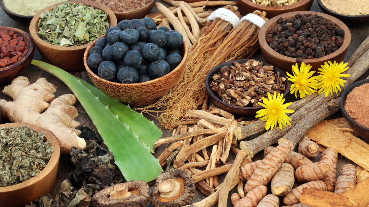Adaptogens