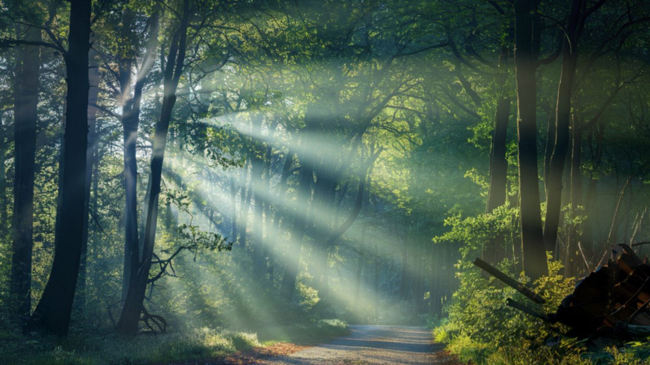 How to Reinvent Yourself at Any Age