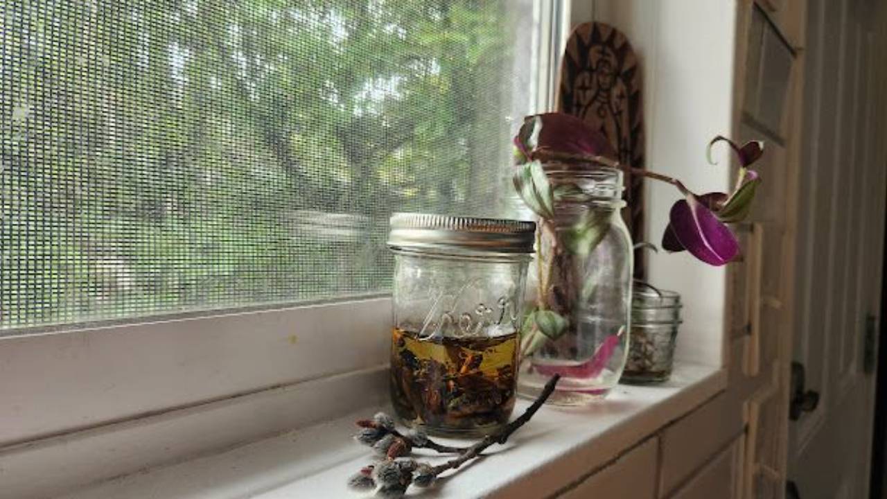 A Urban Kitchen Witch's Primer