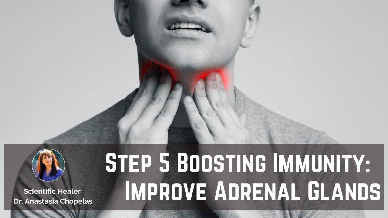 Step 5 Boosting Immunity Improve Adrenal Glands