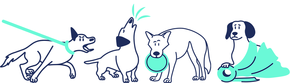 Illustrated dogs showing reactivity, barking, resource guarding and anxiety