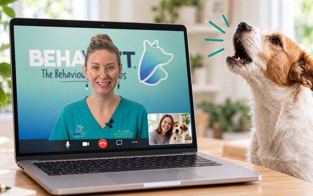 Vet behaviourist on a video call with a dog owner