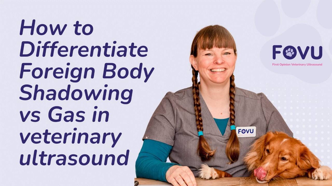 Differentiate Foreign Body Shadowing vs Gas in Veterinary Ultrasound