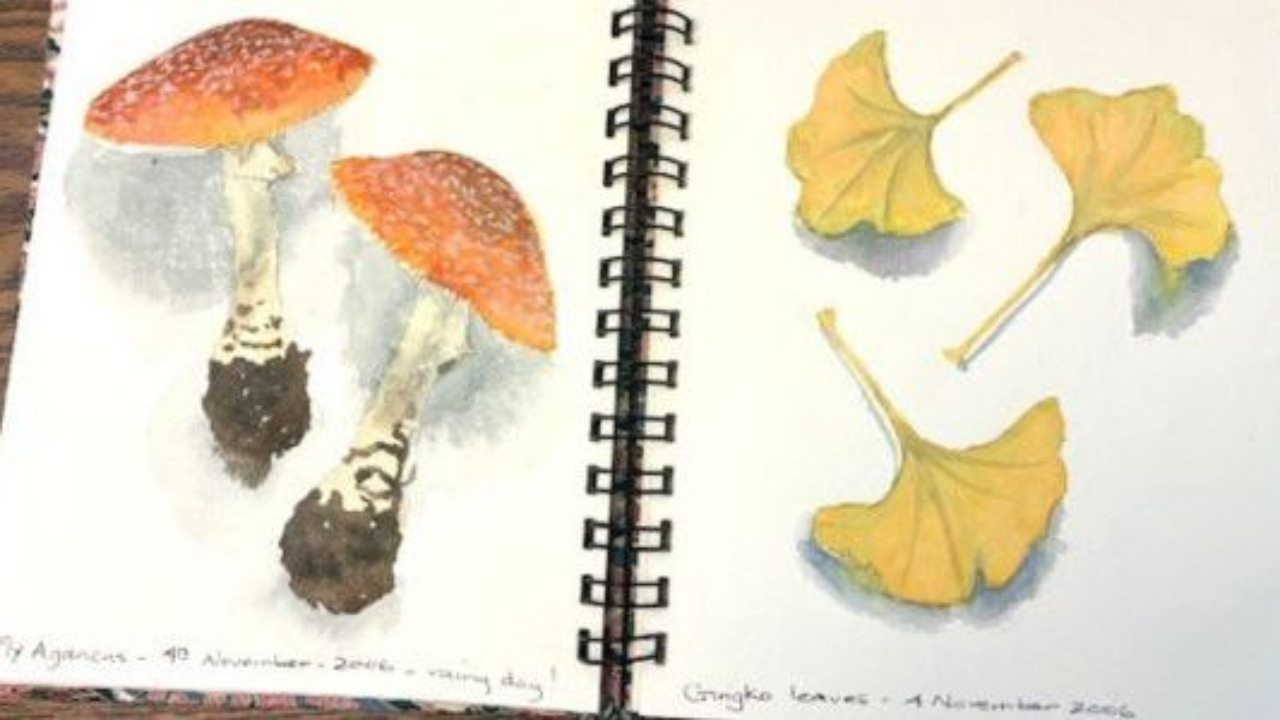 Two pages from my mom's watercolor sketchbook