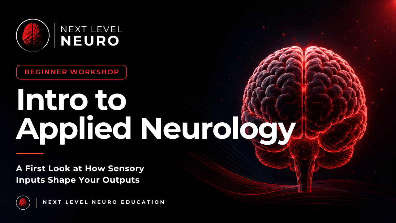Graphic for Free Workshop - Intro to Applied Neurology - A First Look at How Sensory Inputs Shape Your Outputs, Human brain illustration, in red, on a black background, with Next Level Neuro logo