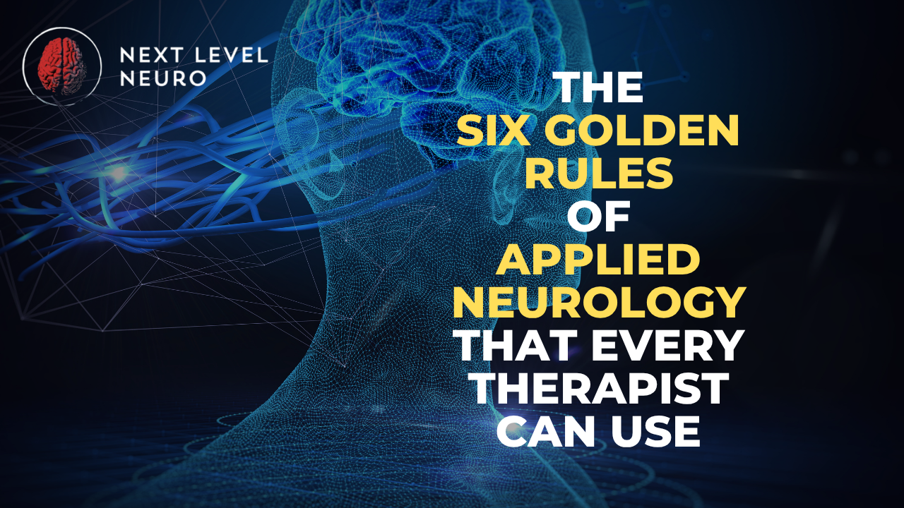 Therapist using a brain-based framework to assess and reassess client movement, pain, posture, and nervous system responses.