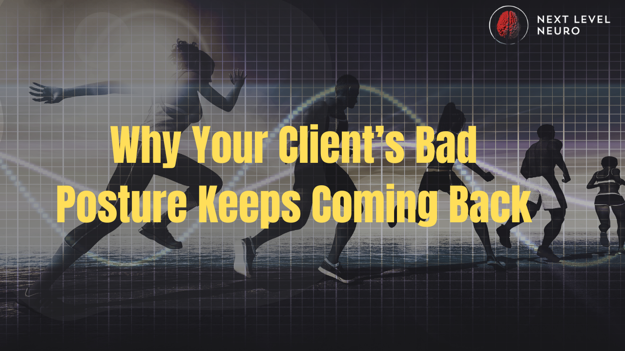 Posture assessment for therapists exploring the brain-body connection