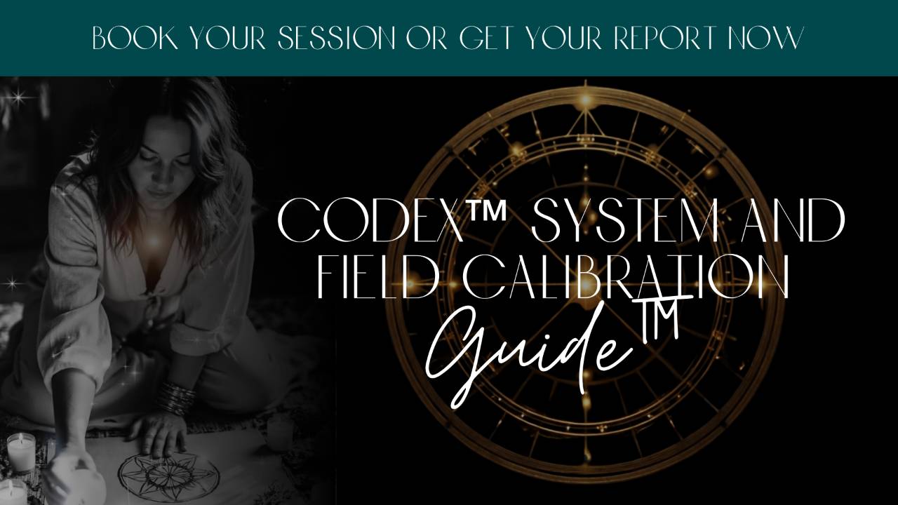 Session & Codex Report