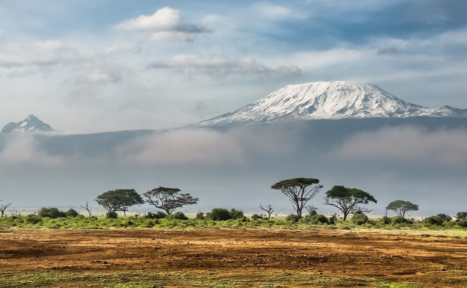 beautiful plains of africa with snowy flat-top mountain in the distance