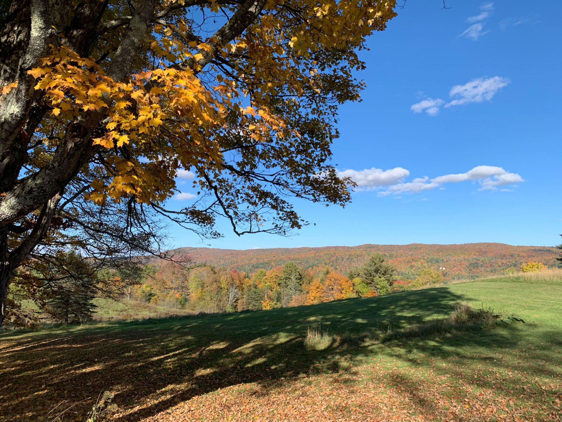 Holden House in autumn