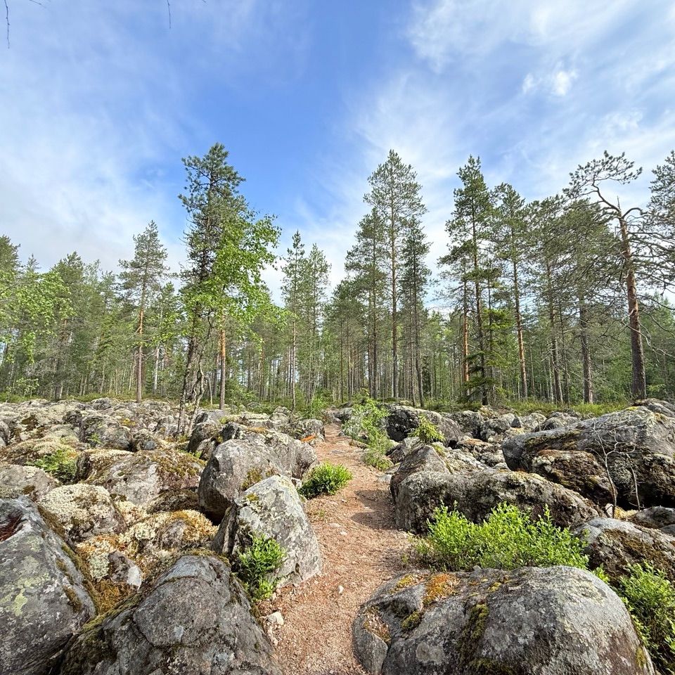 Kivikkoinen metsäpolku juoksuun