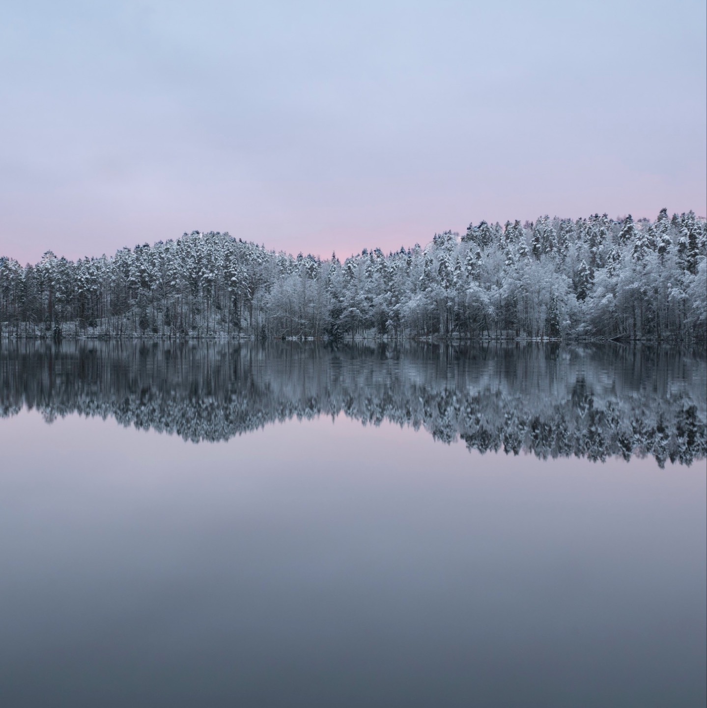 Small forest island on lake landscape