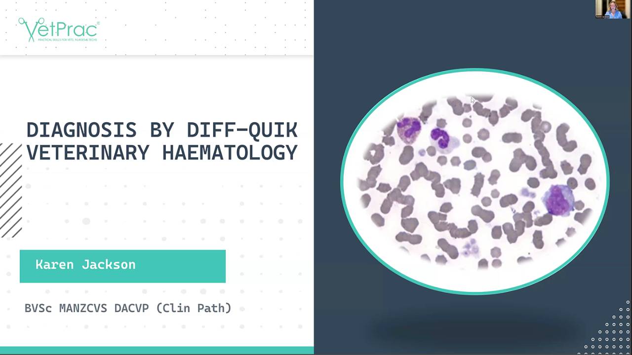 Diagnoses By Diff-Quik