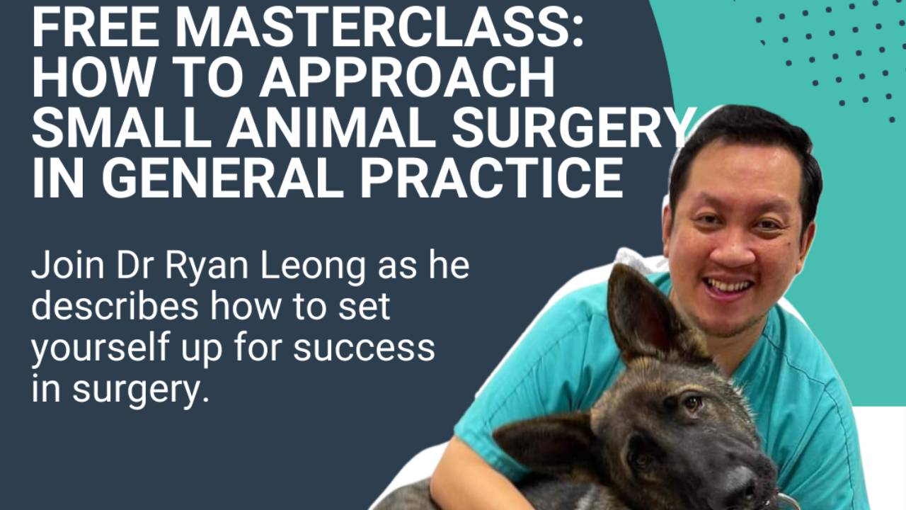 HOW TO APPROACH SMALL ANIMAL SURGERY IN GENERAL PRACTICE