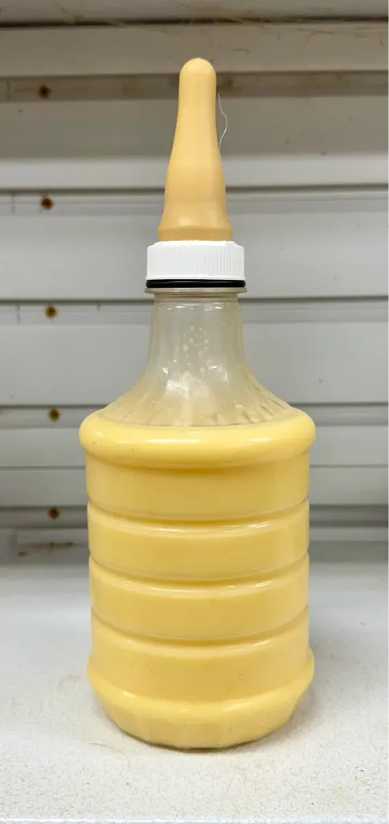 Bottle filled with fresh yellow colostrum collected from a Dexter cow, ready to feed or freeze for later use.