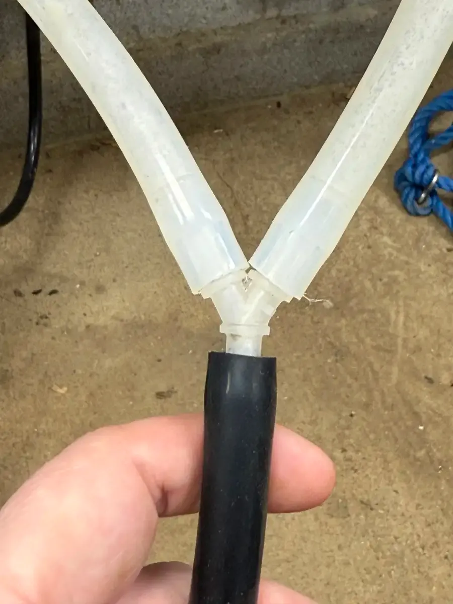 Hand holding a black vacuum line with Y connector splitting into two silicone hoses for Dexter cow milking setup.
