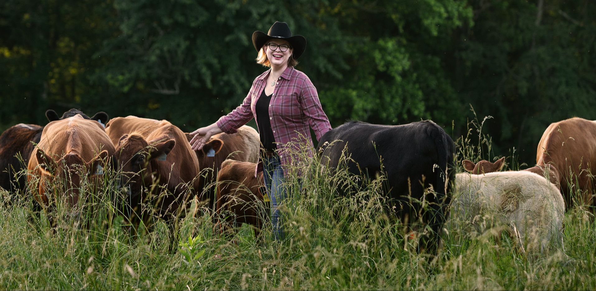 Michelle Parsley standing among the Mountain Heritage Farm Dexter herd, showcasing diverse colors and calm temperaments.