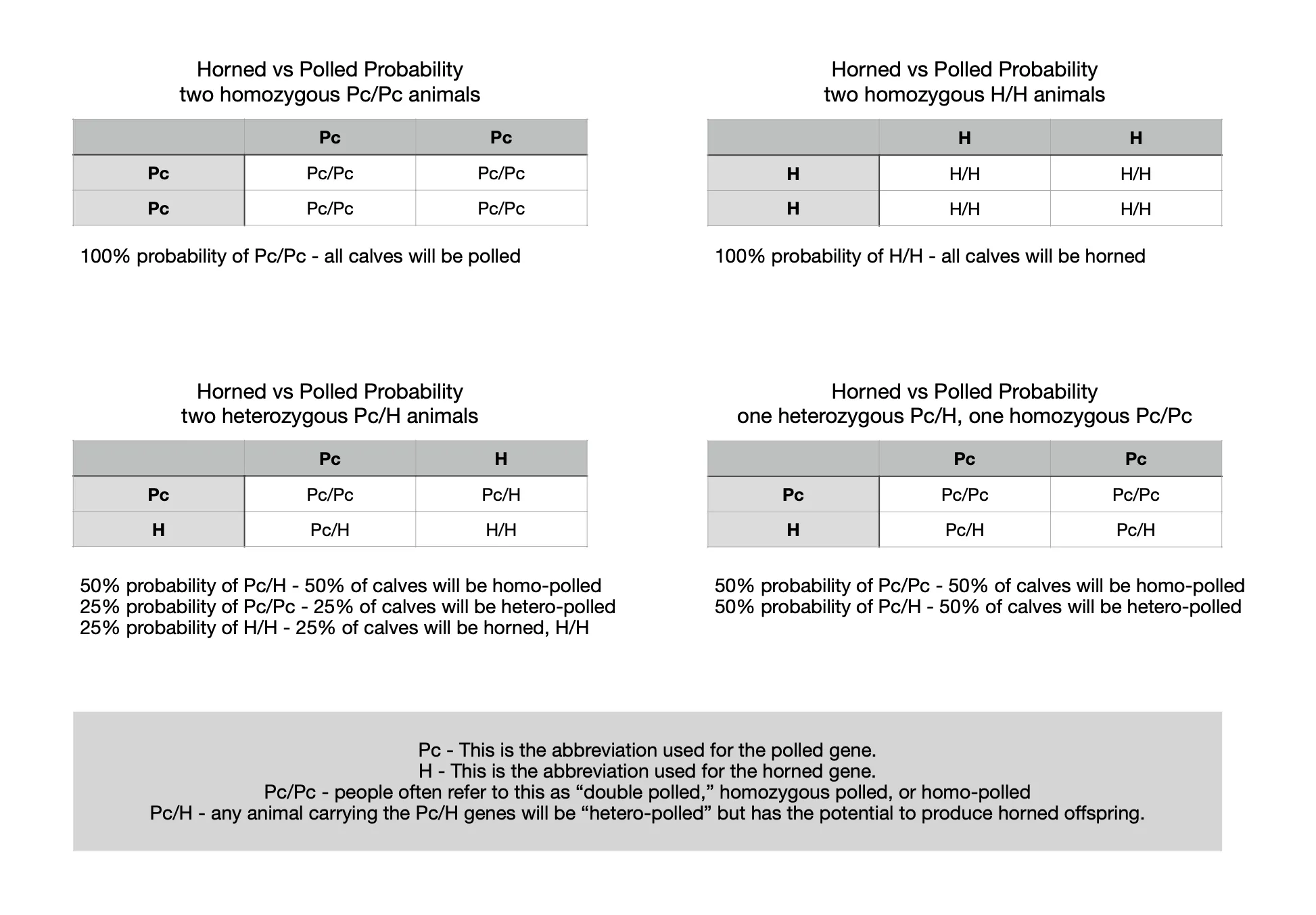 Punnett square charts showing horned versus polled inheritance in Dexter cattle. Homozygous polled (Pc/Pc) always produces polled calves, homozygous horned (H/H) always produces horned calves, heterozygous pairs (Pc/H) produce 75% polled and 25% horned, and Pc/H × Pc/Pc matings produce 100% polled offspring with half carrying the horned gene.
