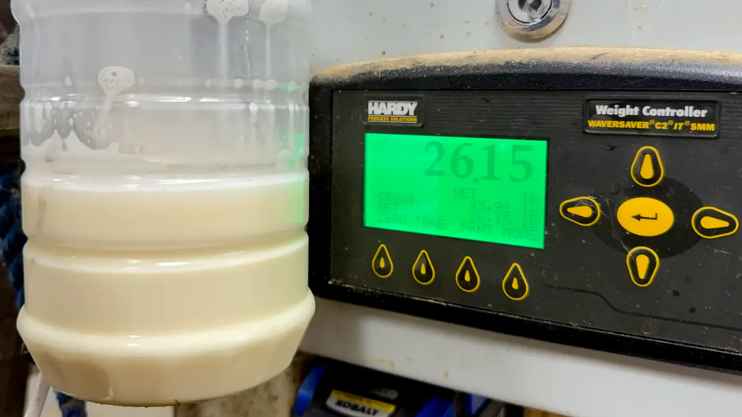 Scale showing 27.15 pounds of milk from Dexter cow Carly the morning after standing heat, demonstrating delayed milk letdown rather than reduced milk production.