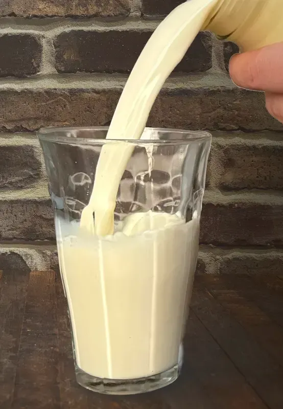 Fresh Dexter cow milk being poured into a glass, showing the rich cream content and thickness of heritage Dexter milk.