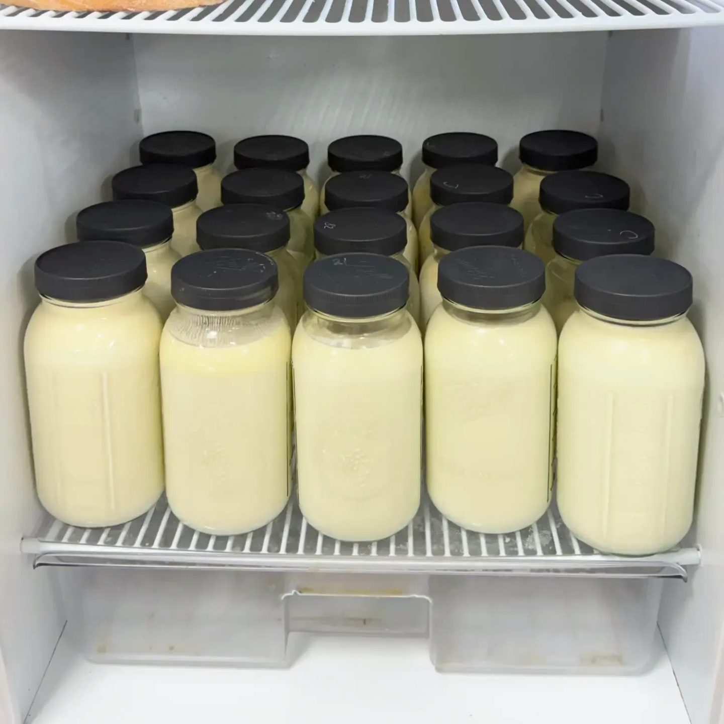 Refrigerator space needed to store fresh Dexter cow milk in jars