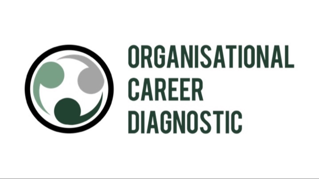 Organisational Career Diagnostic Maturity Curve