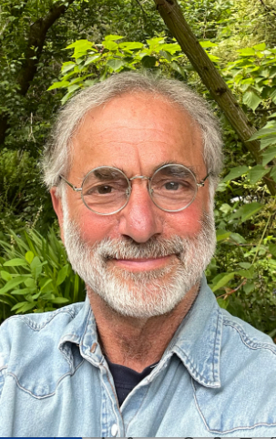 Book cover for Becoming What You Need by David Weinstock