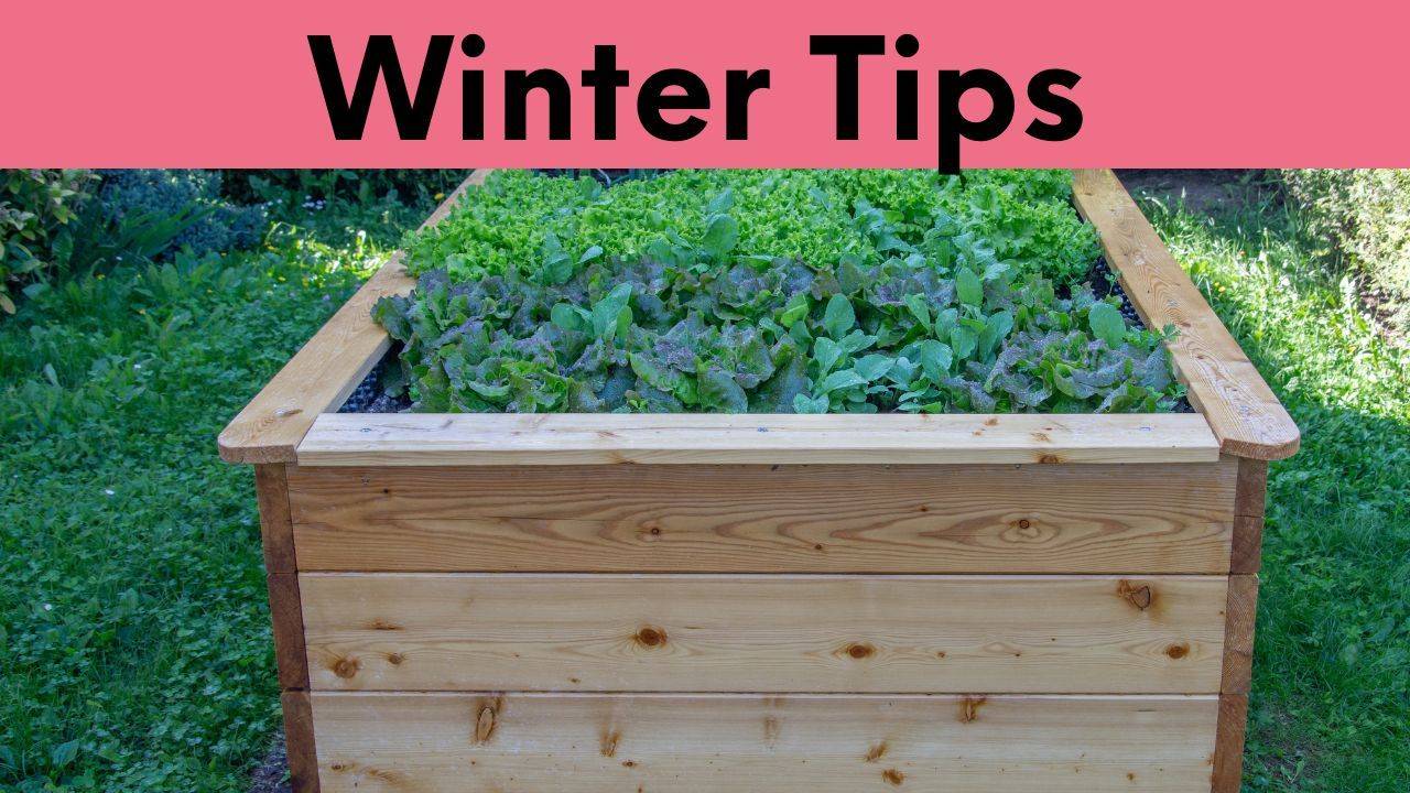 How to Prepare Your Garden for Winter: A Complete Guide