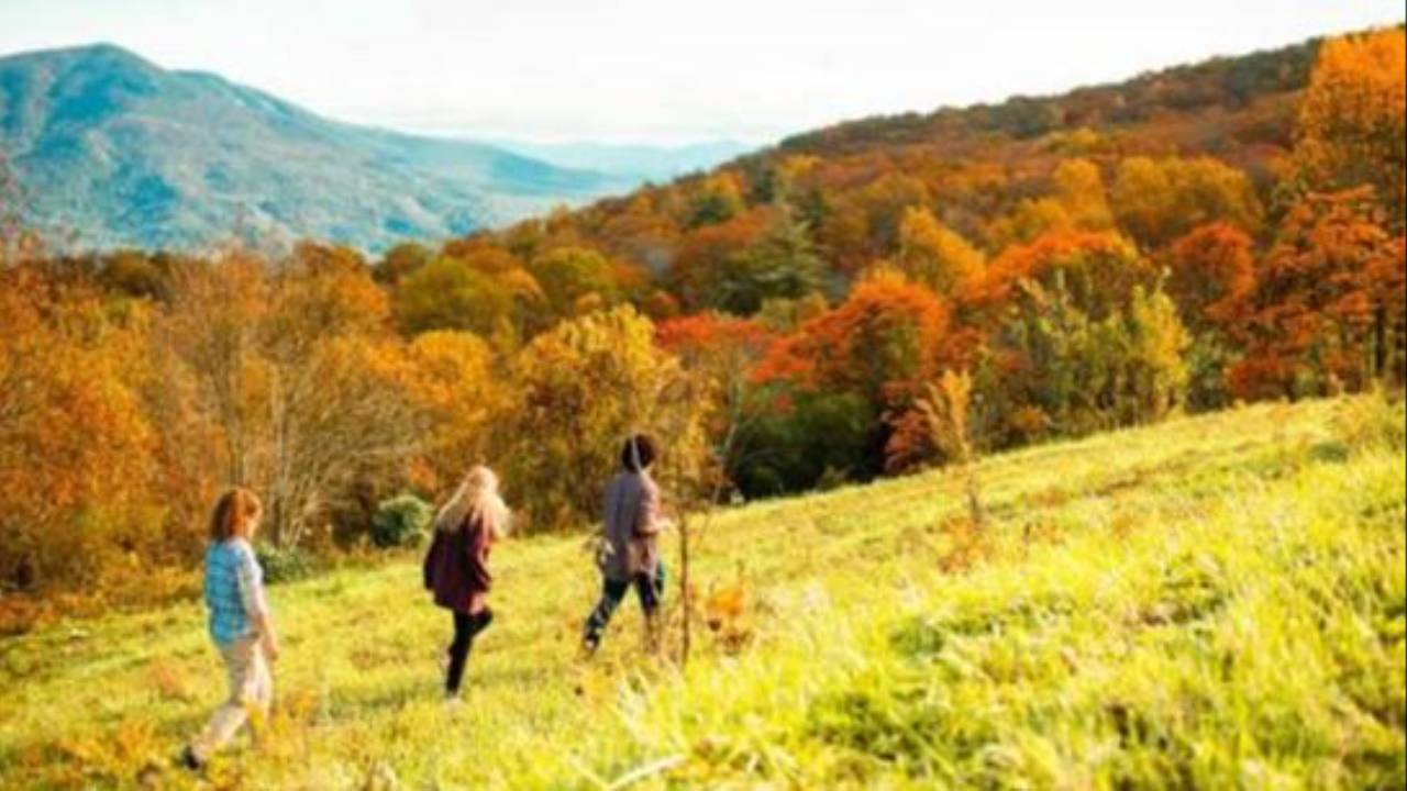 Hikers walking through fall color in the mountains