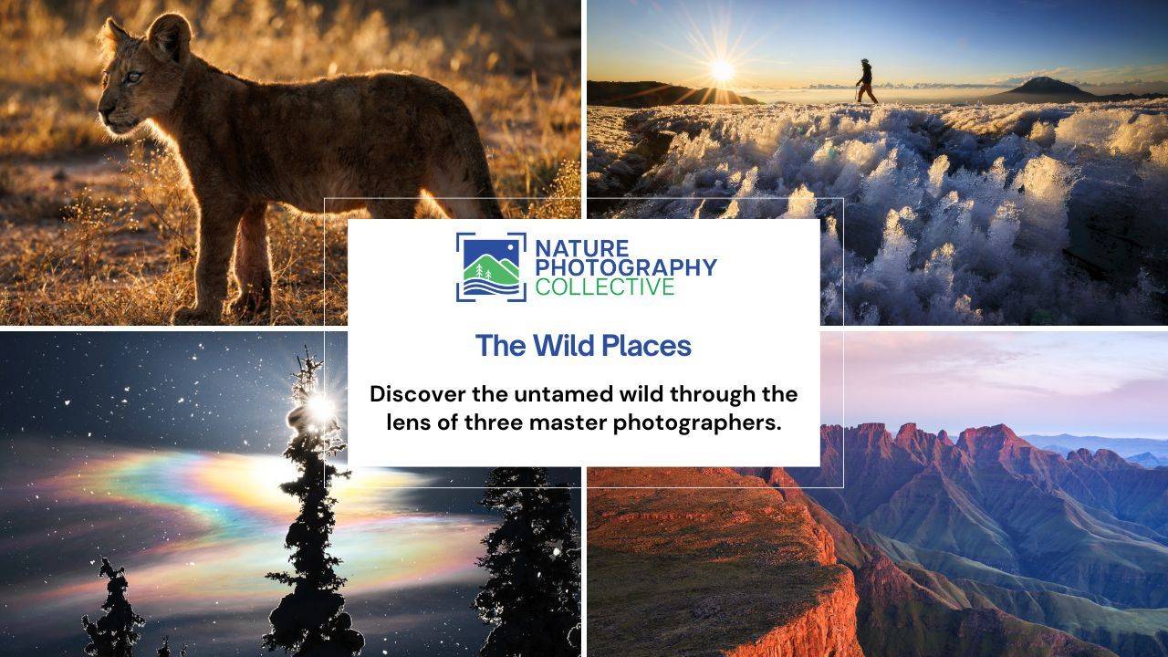 Learn Photography: The Wild Places Speaker Series