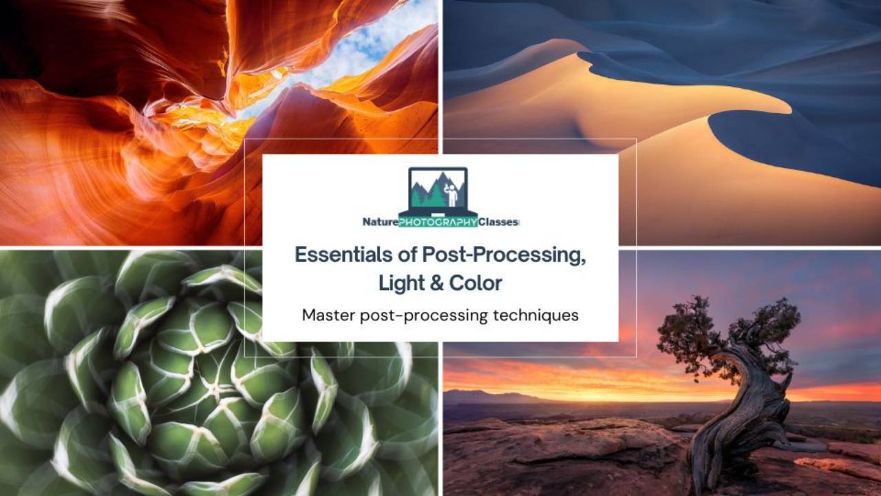 Affordable Post-Processing Image Series - Master Editing Techniques