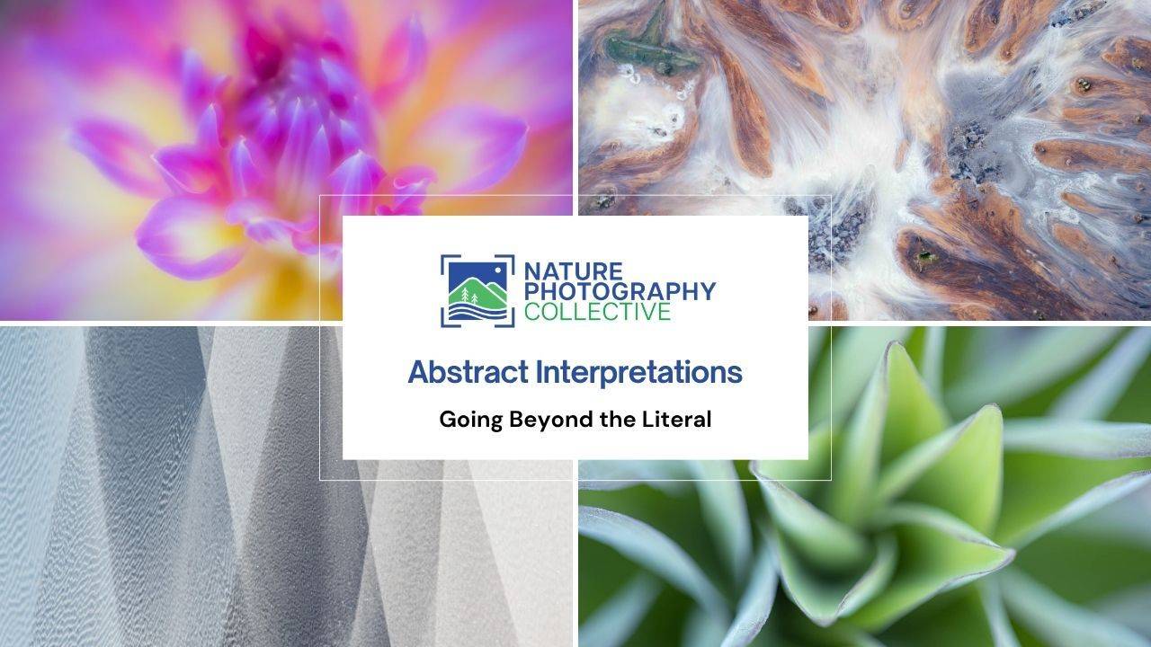 Learn Photography: Abstract Interpretations
