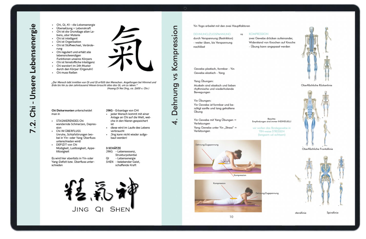 Vorschau des ersten Moduls der 50h Online Yin Yoga Ausbildung mit Laura Klocke