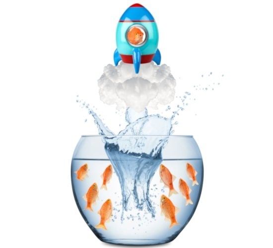 Mission icon illustrating helping MSPs scale profitable IT businesses