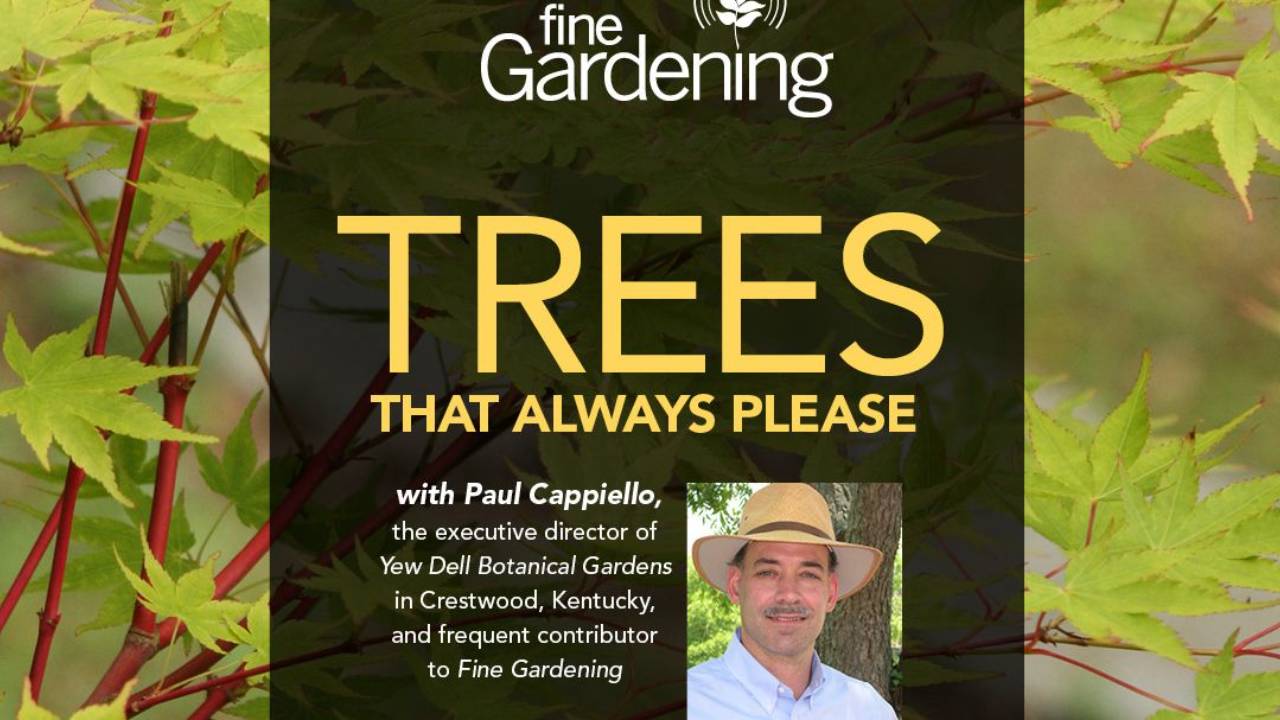 Trees That Always Please