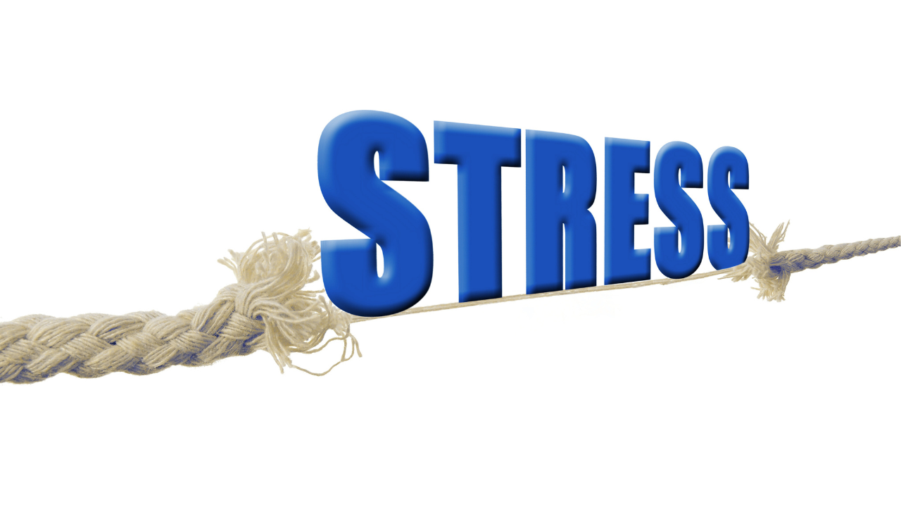 A thick braided rope fraying and breaking under the bold blue word STRESS, representing the Inner Empire™ truth that normalized chronic stress quietly erodes the foundation of a woman's health and vitality in midlife.